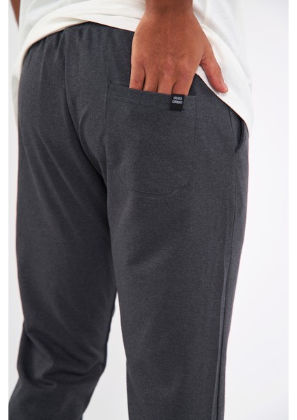 Erkek Antrasit Arka Cep Etiket Detaylı Paça Lastikli Regular Fit Eşofman Altı fırsatları