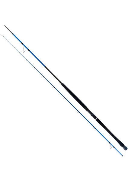 Shore Game 295CM 30-100GR Shore Jig Kamış