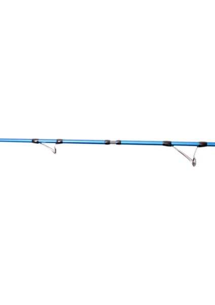 Shore Game 295CM 30-100GR Shore Jig Kamış