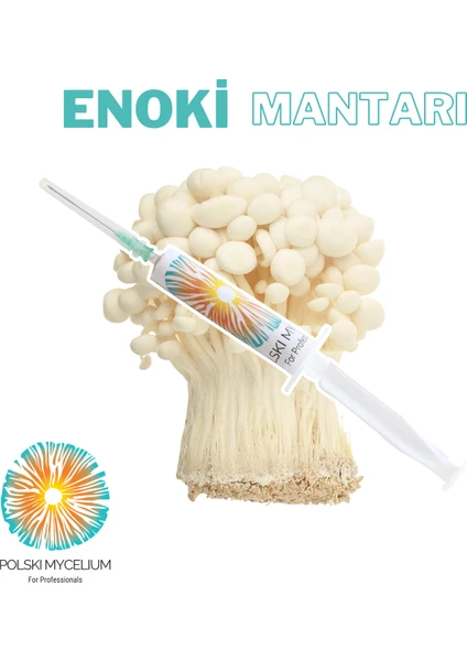 Polski Mycelium  Enoki Mantarı Sıvı Miseli (Tohumu) 5 Ml, Misel ve Kompost Üretmek İçin Ana Kültür