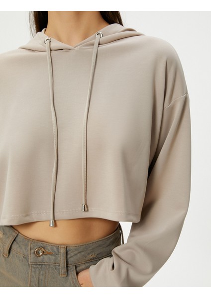 Kapşonlu Crop Sweatshirt Uzun Kollu