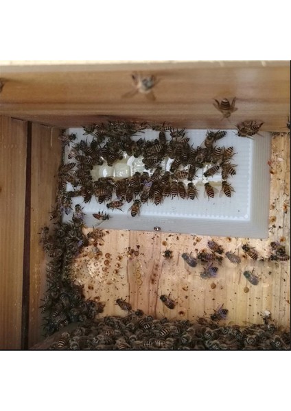 1 Takım Arıcılık Waterer Besleme Plastik Bal Şeker Besleme Yalak Arı Kovanı Arı Besleyici Arıcı Araçları Arı Kovanı 28 Port (Yurt Dışından) modelleri