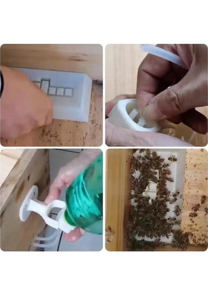 1 Takım Arıcılık Waterer Besleme Plastik Bal Şeker Besleme Yalak Arı Kovanı Arı Besleyici Arıcı Araçları Arı Kovanı 28 Port (Yurt Dışından) fırsatları