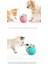Araba Kaçağı Köpek Oyuncakları (Yurt Dışından) 2