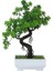 Yeşil Yapay Bitkiler Bonsai Küçük Ağaç Saksı Sahte Bitki Çiçekler Ev Odası Masa Dekorasyon Otel Bahçe Dekor Için Saksı Süsler (Yurt Dışından) 1