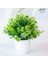 Yeşil Fenglingcao 1 Adet Yapay Bitkiler Yeşil Bonsai Küçük Ağaç Saksı Bitkileri Ev Dekorasyon Zanaat Bitki Dekoratif Için Sahte Çiçek Saksı Süsler (Yurt Dışından) 1