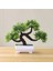 V Yeni Yapay Bitkiler Çam Bonsai Küçük Ağaç Saksı Bitkileri Ev Dekorasyon Otel Bahçe Dekor Için Sahte Çiçekler Saksı Süsler (Yurt Dışından) 1
