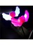 5 Renk Rastgele 1 Pc Yeni Yıl Festivali LED Yanıp Sönen Glow Kafa Bandı Kadın Kızlar Taç Kalp Light Up Hairbands Saç Aksesuarları Glow Parti Malzemeleri (Yurt Dışından) 3