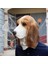 Stil 1 Karnaval Maskesi Cadılar Bayramı Cosplay Komik Hayvan Başlık Lateks Hayvan Maskesi Köpek Kafası Komik Korkunç Prop Görselleştirme (Yurt Dışından) 4