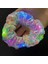 1 Adet Pullu Renkler Dıy Kız Light Up Scrunchies At Kuyruğu Tutucu Elastik Saç Halat Doğum Günü LED Rave Neon Bar Düğün Karnaval Glow Parti Malzemeleri (Yurt Dışından) 1