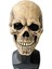 SKELETON01 Cadılar Bayramı Maskesi Hareketli Çene Tam Kafa Kafatası Maskesi Cadılar Bayramı Dekorasyon Korku Korkunç Maske Cosplay Parti Dekor Kafatası Kask (Yurt Dışından) 4