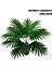C-12HEAD Hiçbir Pot Yapay Bitkiler Dağınık Kuyruk Tropikal Palmiye Ağacı Yaprakları Düğün Parti Ev Bahçe Ofis Dekorasyon Için Sahte Sahte Palmiye Yaprağı (Yurt Dışından) 1