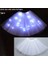 2-7 Yıl Kızlar Için Beyaz Kadın Kız LED Etek Neon Işık Up Tutu Sahne Dans Glow Doğum Günü Partisi Hediye Çiçek Taç Peri Kostüm Değnek Düğün Cadılar Bayramı (Yurt Dışından) 1
