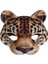 Leopar Cadılar Bayramı 3D Kaplan Domuz Tilki Hayvan Maskesi Masquerade Parti Cosplay Kostüm Aksesuarları Sahne Unisex Hayvanlar Yarım Yüz Maskeleri (Yurt Dışından) 1