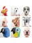 Gri Köpek Komik Papağan Köpek Gergedan Hippo Horoz Koala Hayvan Maskesi Lateks Parti Panda Unicorn Hayvan Maskesi Çocuk Parti Cadılar Bayramı Maskesi (Yurt Dışından) 3