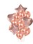 20 Adet Gül Altın C 14/20 Adet Gül Altın Balon Seti Konfeti Lateks Balon Kız Erkek Doğum Günü Düğün Noel Partisi Dekorasyon Bebek Duş Hediye (Yurt Dışından) 5