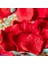 Gül Kırmızı 1000 Adet 1000/3000 Ps 5*5 cm Gül Yaprağı Düğün Parti Dekorasyonu Için Romantik Yapay Gül Çiçek Düğün Geçit Halı Dekorasyonu Için (Yurt Dışından) 4