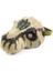 Siyah Dinozor Maskesi Simülasyon Dinozor Modeli Cadılar Bayramı Tricky Roar Tyrannosaurus Rex Maskesi Dinozor Dino Mutlu Doğum Günü Partisi (Yurt Dışından) 1