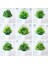 1 Adet Yuvarlak Saksı 1 Adet Yapay Bitkiler Yeşil Bonsai Küçük Ağaç Saksı Bitkileri Sahte Çiçek Saksı Süsleri Ev Dekorasyon Için Zanaat Bitki Dekoratif (Yurt Dışından) 3