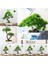 36 Yapay Bitkiler Bonsai Küçük Ağaç Simülasyon Saksı Bitkileri Sahte Çiçekler Masa Saksı Süsler Ev Dekorasyon Otel Bahçe Dekor (Yurt Dışından) 3