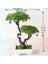 36 Yapay Bitkiler Bonsai Küçük Ağaç Simülasyon Saksı Bitkileri Sahte Çiçekler Masa Saksı Süsler Ev Dekorasyon Otel Bahçe Dekor (Yurt Dışından) 4
