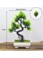 36 Yapay Bitkiler Bonsai Küçük Ağaç Simülasyon Saksı Bitkileri Sahte Çiçekler Masa Saksı Süsler Ev Dekorasyon Otel Bahçe Dekor (Yurt Dışından) 5