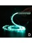 Nane Yeşili Disko Dans Kırbaç Parti LED Fiber Optik Dans Kırbaçlar Şarj Edilebilir Parlayan Kırbaç Sparkle Akış Oyuncak Işıklı 360° Dönebilen Rave Edm (Yurt Dışından) 1