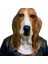Basset Hound Maskesi Lateks Hayvan Gerçekçi Boğa Köpek Labrador Pit Bull Basset Hound Alman Çoban Köpeği Sahne Parti Maskeleri (Yurt Dışından) 1