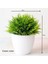 Feng Wei Cao Saksı ile Greenplants Yeni Yeşil Yapay Bitkiler Bonsai Küçük Ağaç Çim Çiçek Saksı Bonsai Cadılar Bayramı Düğün Noel Partisi Ev Ofis Dekoru (Yurt Dışından) 1