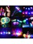 Dikenli Top Kolye 10 Adet Glow Crown LED Çiçek Kafa Bandı Işık Halkası Küpe Kolye Hediye Aydınlık Neon Parti Doğum Günü Cadılar Bayramı Düğün Karnavalı (Yurt Dışından) 1