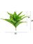 H2 Fengshun 5 Çatal 29 cm Sahte Bitkiler Yapraklar Tropikal Yapay Ağaç Yaprağı Küçük Bitki Örtüsü Dekoratif Bitki Duvar Ev Bonsai Dekorasyon (Yurt Dışından) 1