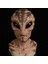 F 1 Adet Cadılar Bayramı Cosplay Uzaylı Maskesi Cadılar Bayramı Uzaylı Giydirme Parti Maskesi Korku Başlık Ufo Sahne Masquerade Kostüm Sahne Unisex (Yurt Dışından) 2