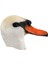 Penguen Maskesi Lateks Tam Kafa Hayvan Kuş Güvercin Dodo Papağan Güvercin Karga Masquerade Sahne Maskesi (Yurt Dışından) 5
