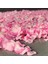 Pembe 1000 Adet 1000/3000 Adet Yapay Gül Yaprakları Renkli Düğün Romantik Ipek Gül Çiçek Petal Kız Düğün Dekorasyon Güller Malzemeleri (Yurt Dışından) 2