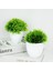 B04 Yapay Bitkiler Bonsai Küçük Yeşil Ağaç Bitkiler Sahte Çiçek Saksı Süs Ev Odası Bahçe Ofis Masası Sahte Bonsai Dekorasyon (Yurt Dışından) 3