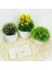 B04 Yapay Bitkiler Bonsai Küçük Yeşil Ağaç Bitkiler Sahte Çiçek Saksı Süs Ev Odası Bahçe Ofis Masası Sahte Bonsai Dekorasyon (Yurt Dışından) 4