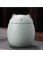Şekli Seramik, Pet Dekoratif Urns, 500ML Tencere Yeşil (Yurt Dışından) 2