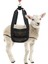 Küçük Hayvanları Tartmak Için 4x Buzağı Sling, Hayvancılık Sling, Asma Ölçeği, Buzağı Ölçeği Tartım Için Asma Ağırlık Ölçeği Sling (Yurt Dışından) 5
