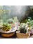 Plastik Bahçe Tesisi Etiketleri Su Geçirmez Houseplants Tohumlar Için Etiketler Saksı Kapalı Işaretleyiciler Herb Bahçe Depolama Için Açık (Yurt Dışından) 5
