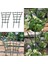 2 Adet Bahçe Tesisi Asma Çerçeve Tırmanma Asma Braketi Çiçek Standı Bitki Desteği Podazz (Yurt Dışından) 3