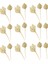 30 Adet Boho Kurutulmuş Palm Spears Doğal Kurutulmuş Palmiye Fanları Kurutulmuş Palmiye Yaprakları Kurutulmuş Palmiye Yaprağı Palmiye Yelpazesi Yaprağı Kök ile (Yurt Dışından) 2