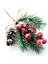 Kırmızı Berry Çam Dalları Dökmeyen Noel Meyveleri Kaynaklanıyor Dekor 16 Pcs Yapay Çam Kozalakları Şube Zanaat Çelenk Seçim (Yurt Dışından) 1
