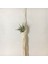 2x Boho Makrome Hava Tesisi Askı Tillandsia Asılı Sepet Halat Tutucu Çiçek Ev Dekor (10 Cm) (Yurt Dışından) 3