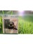Profesyonel Kamp Feneri RT-903 Solar Panelli Usb-Mp3-Radyo Destekli Solar RT-903 1