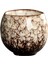 Çin Çay Bardağı Drinkware 110ML J (Yurt Dışından) 2