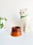 Seramik Kedi ve Köpek Mama Su Kabı Colorful Moon Bowl Kahverengi Açık Kahverengi 1