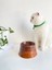 Seramik Kedi ve Köpek Mama Su Kabı Colorful Moon Bowl Kahverengi Açık Kahverengi 2