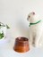 Seramik Kedi ve Köpek Mama Su Kabı Colorful Moon Bowl Kahverengi Açık Kahverengi 3