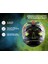 Apex Vivid Kapalı Polikarbon Kask 3