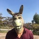 Seçili Renk Renkli